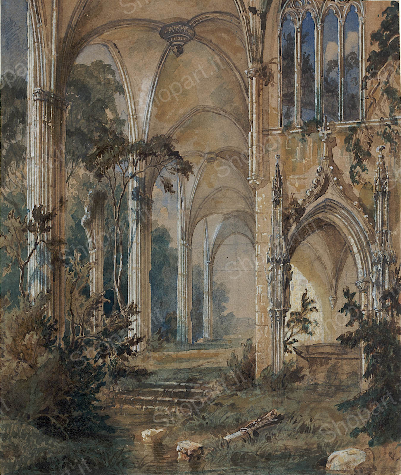 base image