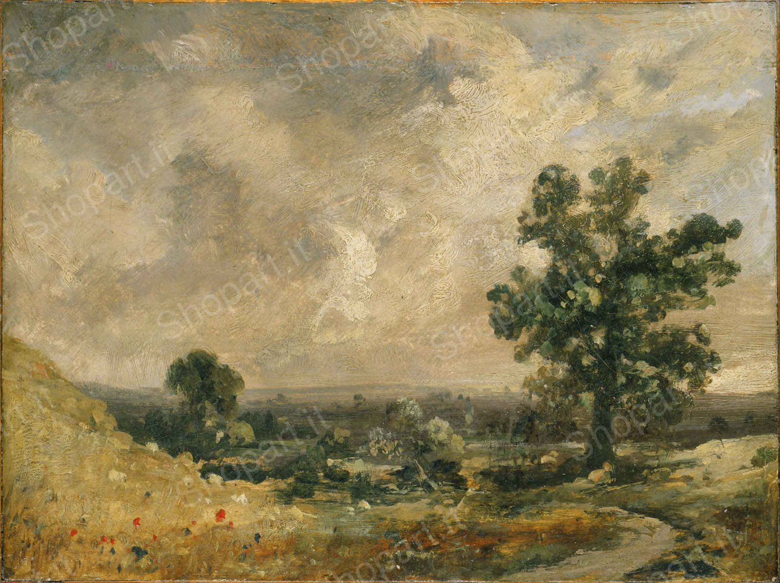 base image