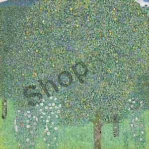 Cespugli di rose sotto gli alberi - Klimt Gustav