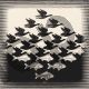 M.C. Escher, Sky and Water