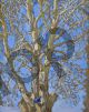 Akseli Gallen-Kallela, Crack Willow and Blue Bird in New Mexico