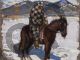 Akseli Gallen-Kallela, Indian on Horseback in the Snow