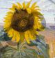 Akseli Gallen-Kallela, Sunflower at the Nairobi Savannah