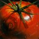 Tomato - Alma'ch