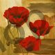 Poppies - Besson Bessom