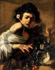 Boy Bitten by a Lizard - Caravaggio Michelangelo Merisi
