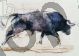 Mark Adlington, Charging bull