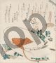 Myriad grasses shell (Chiguagua) - Hokusai Katsushika