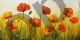 Meadow of poppies - Luffarelli Maria Grazia
