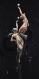 Luis Ricardo Falero, Reaching for the Stars