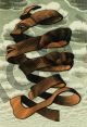 M.C. Escher, Rind