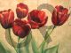 Red tulips on ivory - Mc Kee