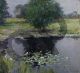 Willard Metcalf, Ninfee