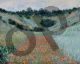 Poppy Field in a Hollow near Giverny - Monet Claude