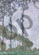 Wind Effect, Series of The Poplars - Monet Claude