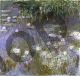 Water Lilies - Monet Claude