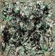 Jackson Pollock, Number 15