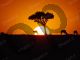 African Sunset - Photography