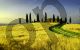Tuscan landscape - Photography