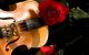 Rose and Music - Photography