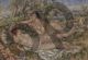Pierre-Auguste Renoir, Le bagnanti