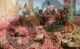 Lawrence Alma-Tadema, Le rose di Eliogabalo