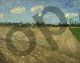 Plowed fields - Van Gogh Vincent