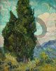 Cypresses - Van Gogh Vincent