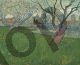Flowering Orchards, View of Arles - Van Gogh Vincent