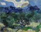 The Olive Trees - Van Gogh Vincent