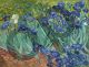 Irises - Van Gogh Vincent