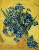 Irises - Van Gogh Vincent