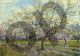 White Orchard - Van Gogh Vincent