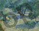 Olive Orchard - Van Gogh Vincent