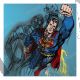 Superman - Warhol Andy