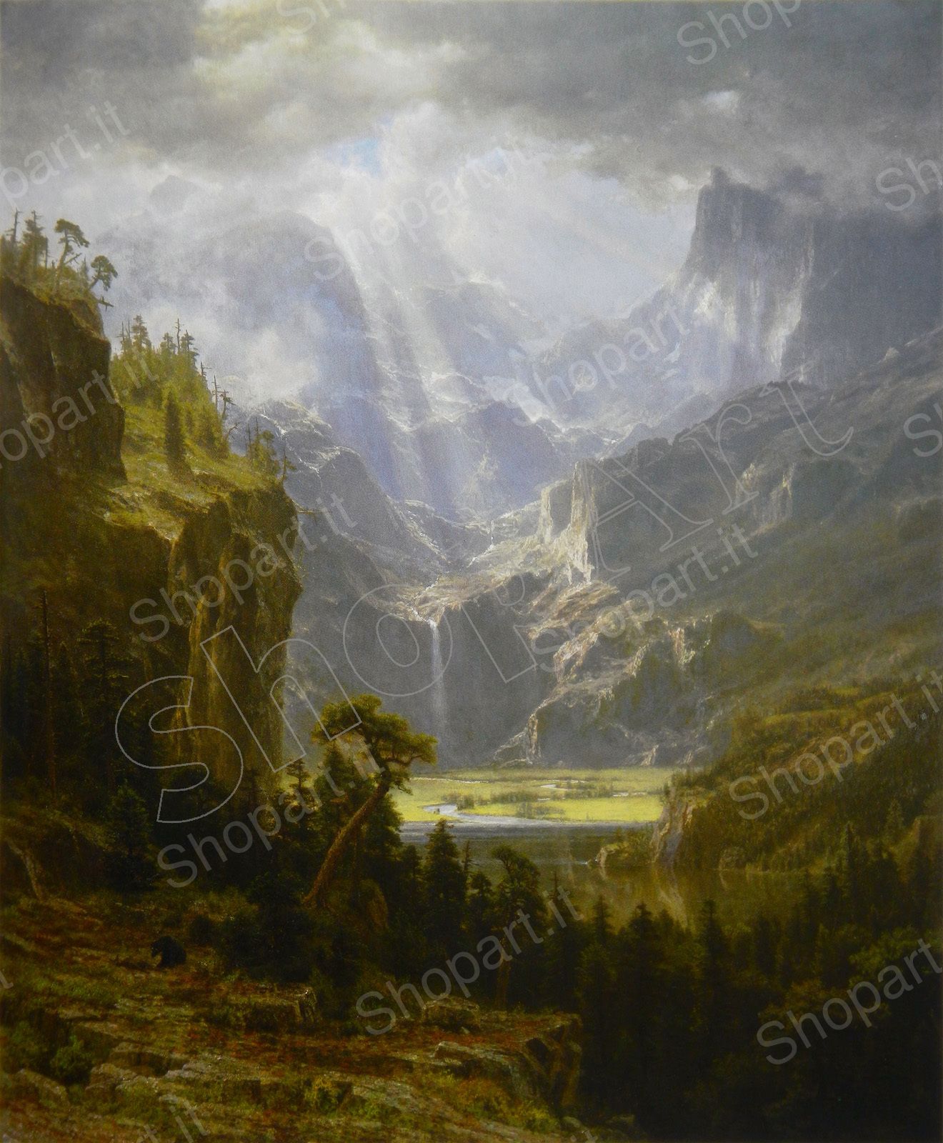 base image