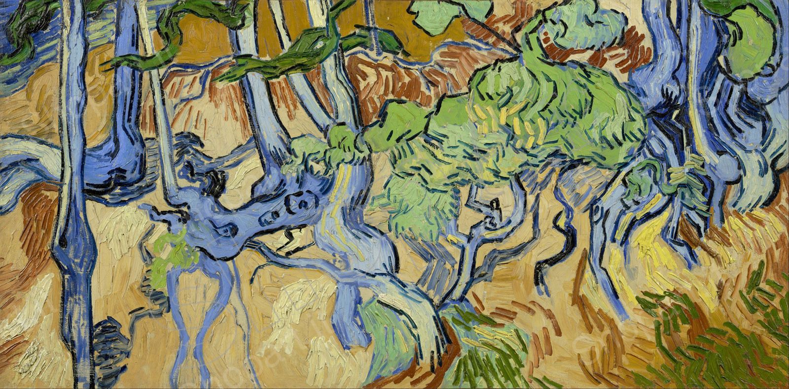 base image
