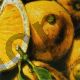 Limoni - Alma'ch