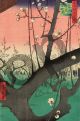 Utagawa Hiroshige, Giardino di susini a Kameido