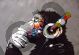 ShopArt-Dj-Monkey-banksy
