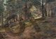 Berndt Lindholm, Light in the Woods