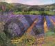 Buddleia and lavender field