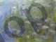 Claude Monet, Ninfee 1915