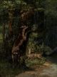 Cervi nella foresta - Courbet Gustav