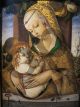 Madonna and Child - Crivelli Carlo