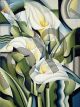 Cubist lilies 