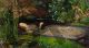 John Everett Millais, Ophelia