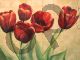 Red tulips on ivory - Mc Kee