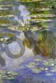 Water Lilies - Monet Claude