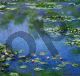 Ninfee - Monet Claude
